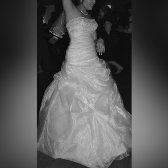 Beautiful Clean Wedding Dress - Picture 7 of 11